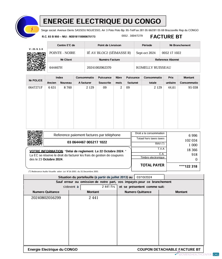 download download Congo Energie Electrique Du utility bill